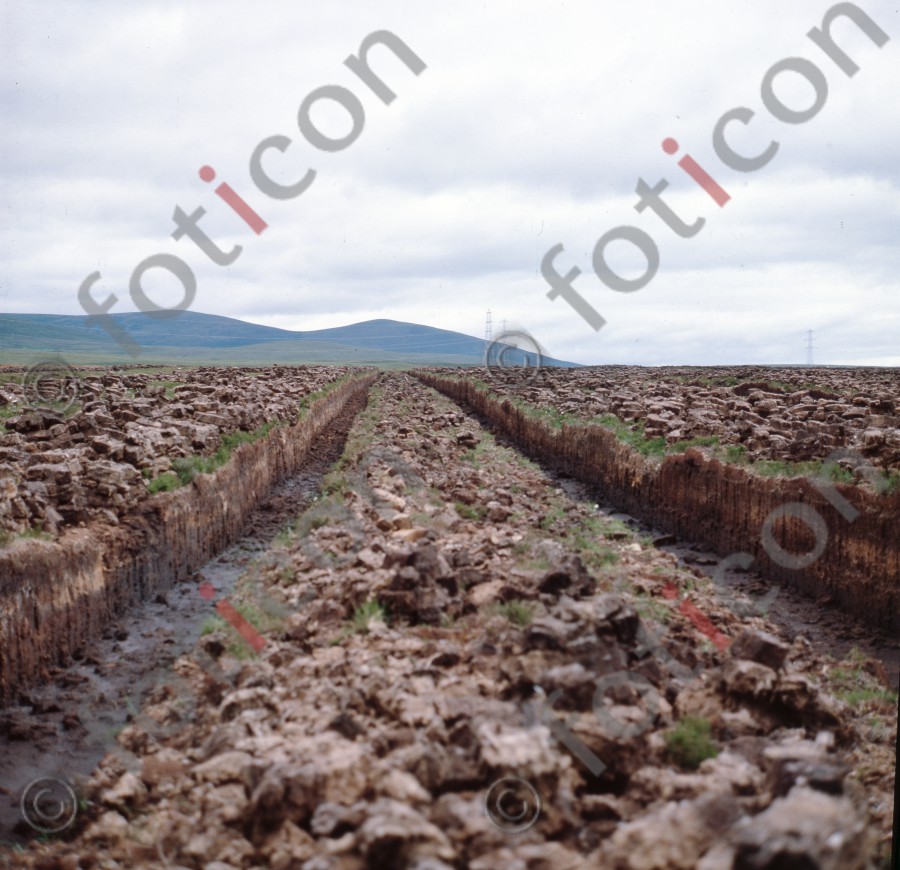 Torffeld | Peat field (foticon-hofmann-001-000.jpg)